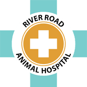 RIVER ROAD ANIMAL HOSPITAL logo