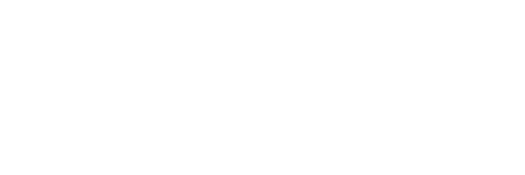 THE DANCEROOM INC. logo